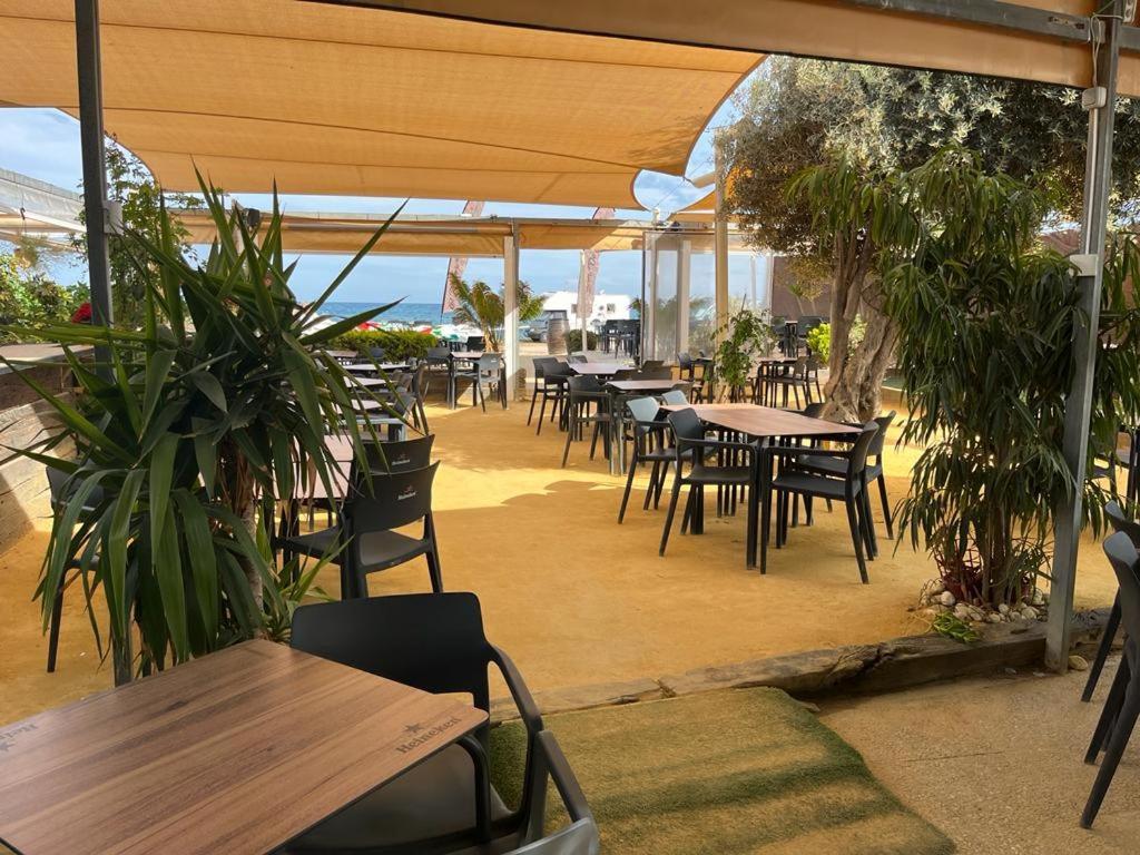Beach Apartment Amalia Torrevieja Zewnętrze zdjęcie